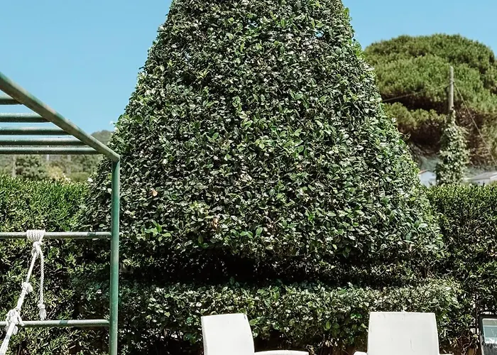 Mare De Passos - Tide Of Steps بيت شباب *