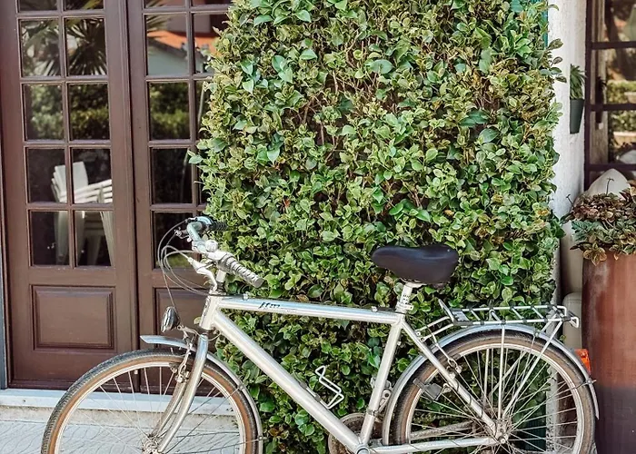 بيت شباب Mare De Passos - Tide Of Steps